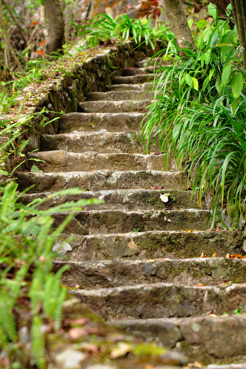 户外的石头楼梯岩石苔藓宗教爬坡花园精神寺庙佛教徒小路公园图片