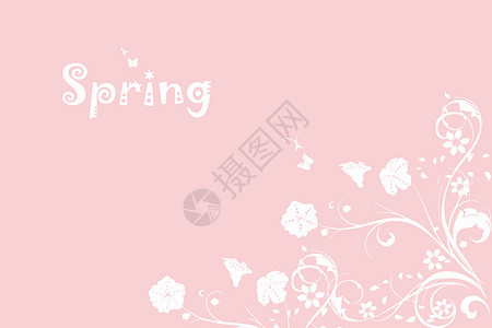 春季粉红背景植物生长曲线园艺生态粉色花园白色卷曲环境背景图片
