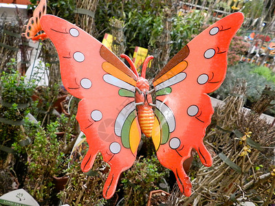 蝴蝶玩具红色彩色翅膀粉色背景图片