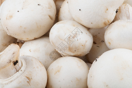 白色香皮尼翁蘑菇蔬菜宏观食物食用菌健康饮食素食高清图片