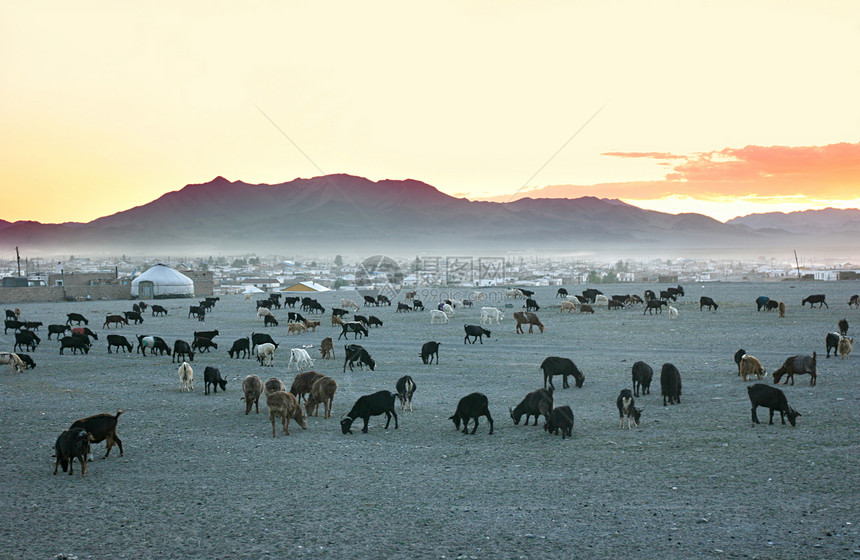 牧羊群气候村庄艺术动物蒙古包草原旅行帐篷房子家畜图片