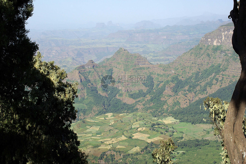 埃塞俄比亚地貌景观风景荒野顶峰猿猴草地场地图片