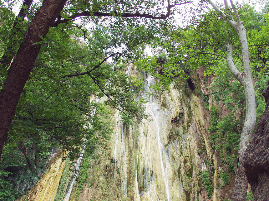 森林瀑布薄雾荒野阳光池塘生态旅游苔藓叶子热带摄影山脉图片