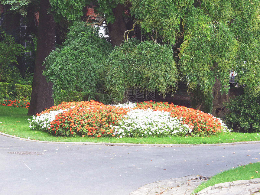 在一个城市公园里树篱历史花朵花园土地树叶文化地标艺术天气图片