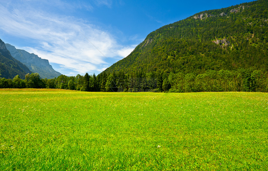 巴伐利亚阿尔卑斯场地农村顶峰生态云杉爬坡植物石头牧场旅行图片