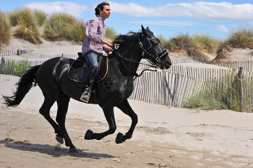 骆驼速度动物骑马闲暇海滩黑色运动跑步骑士图片