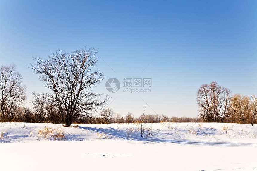 冬季风景和雪雪旅行季节天气公园环境蓝色阳光植物群美丽降雪图片