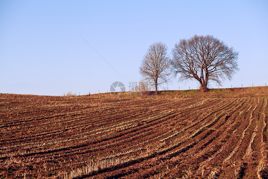 实地的最低限度观点草地场地农村地平线乡村蓝色和平天空生长曲线图片