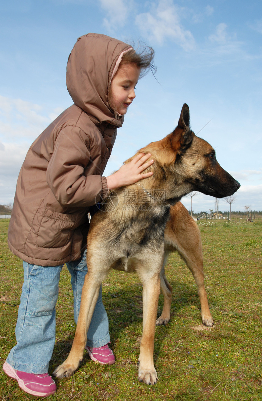 女童和营养不良微笑伴侣女孩犬类宠物警卫衣领牧羊犬动物图片