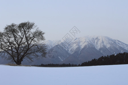 东北雪原毛笔字冬天的伊瓦特山和樱桃朝霞阴影蓝天雪原粉雪背景