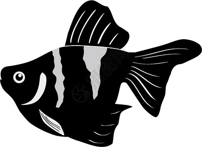 水族馆鱼类热带艺术插图淡水异国游泳宠物情调野生动物动物群背景图片