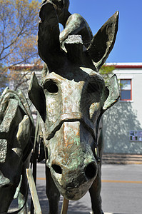 马雕像德克萨斯艺术青铜雕塑高清图片