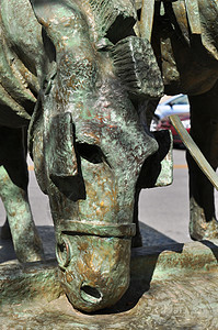 马雕像德克萨斯青铜艺术雕塑高清图片