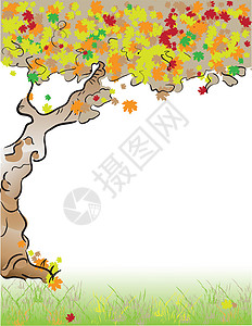 格式 字母树秋叶子卡片宾客创造力天气预印绘画表格木头季节背景图片
