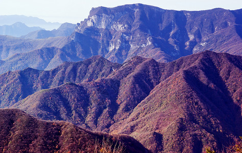 中国湖北申农家山地貌山脉森林旅游松树树木背景图片