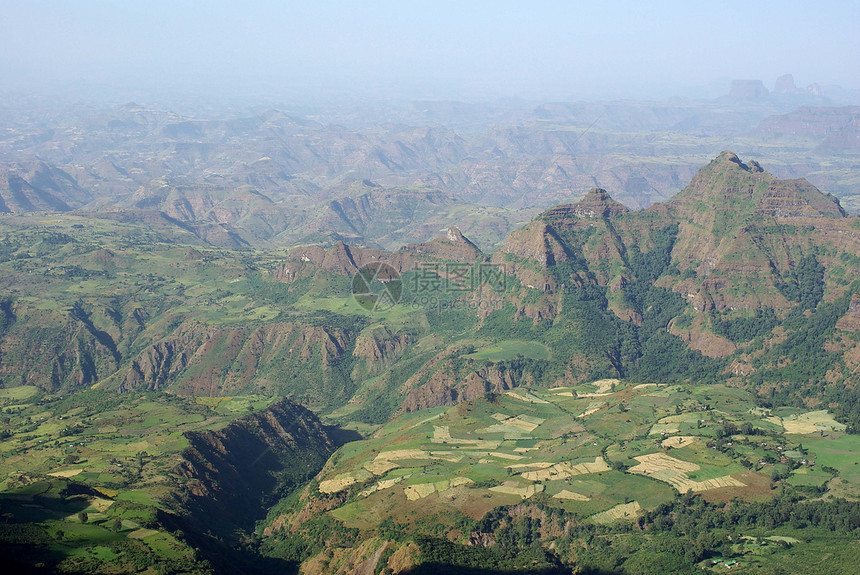 埃塞俄比亚地貌景观猿猴风景荒野草地场地全景图片