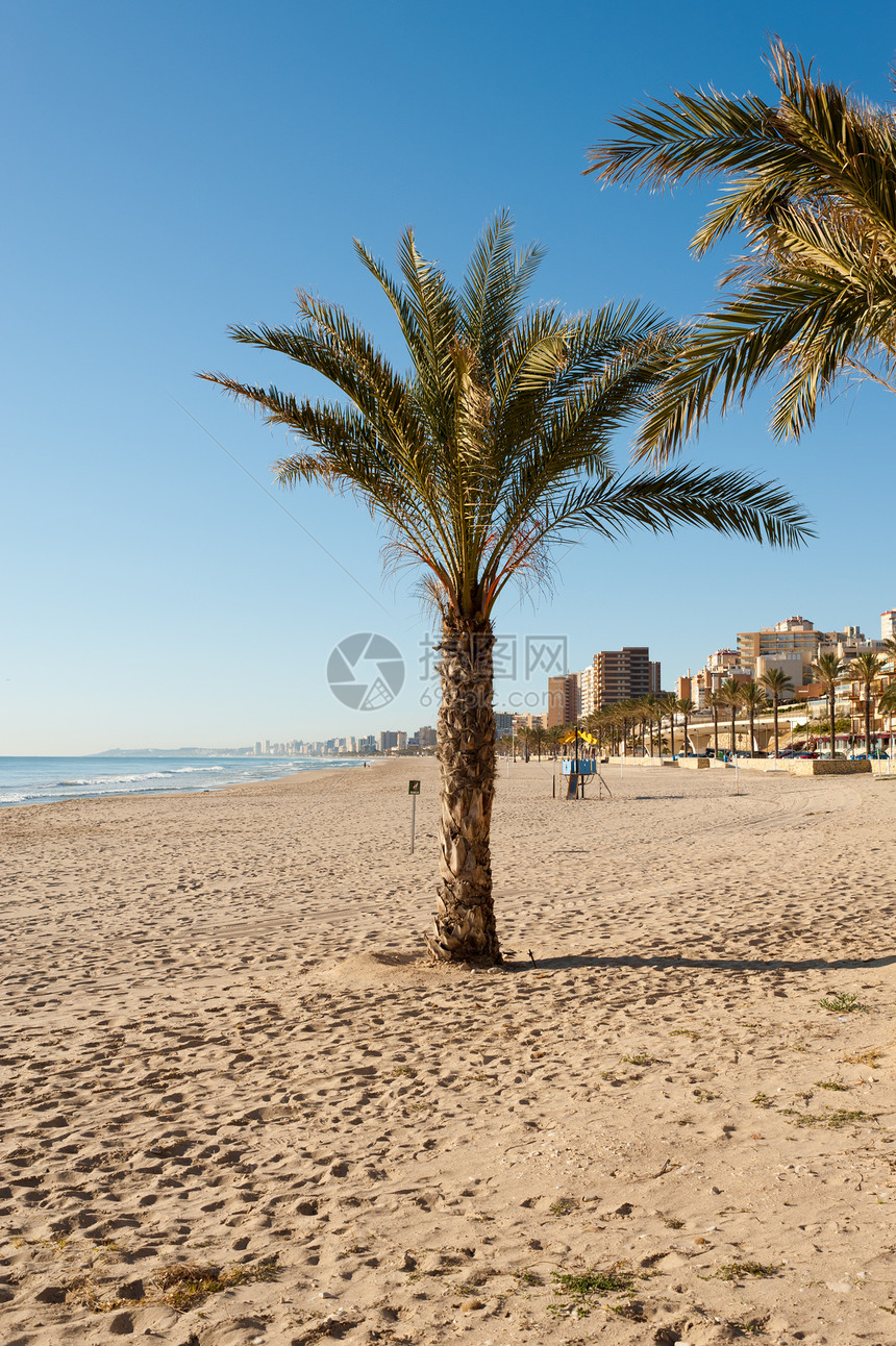 地中海度假村海滩海岸线海岸海洋风景支撑晴天阳光图片