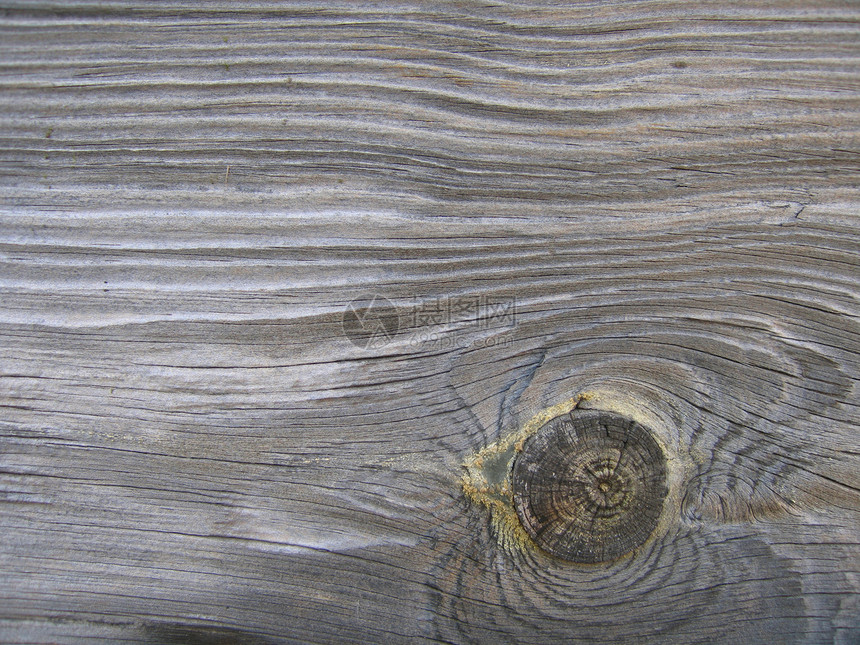 漂亮的木质板     一块木料控制板橡木艺术桌子碎片苔藓静脉栅栏瘢痕纤维素图片