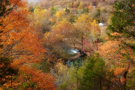 秋天的春泉磨坊树木森林磨房房子背景图片