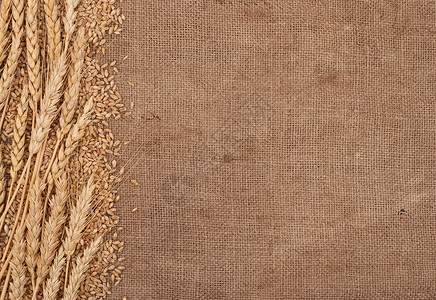 粗布背景的小麦耳朵边框农民织物生产玉米粮食收成谷物稻草植物麻布背景图片