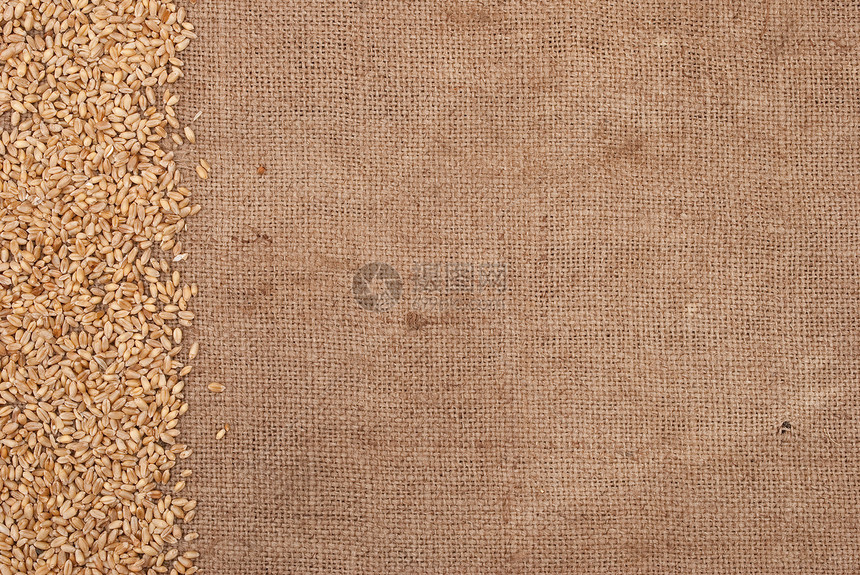 粗滑背景的小麦边框图片