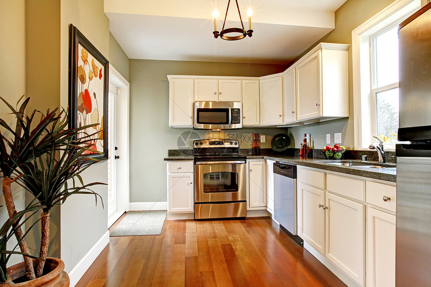 白色和绿色的高级厨房 有樱桃地板图片