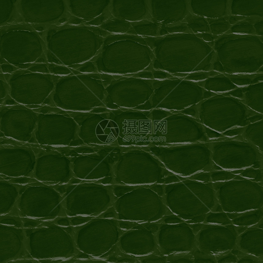 绿鳄鱼皮质墙纸衣服皮肤奢华手提包打印绿色皮革材料宏观图片
