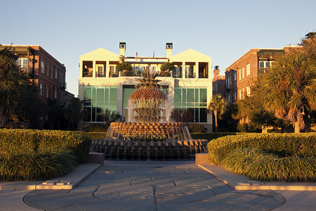 查尔斯顿喷泉房子建筑学棕榈公园衬套旅行背景图片