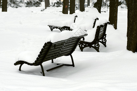 公园雪梅下雪法官座暴风雪冻结季节长椅天气黑色季节性公园风景白色背景
