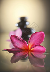 弗朗比帕尼花瓣卵石岩石冥想粉色黑色温泉治疗反射平衡高清图片