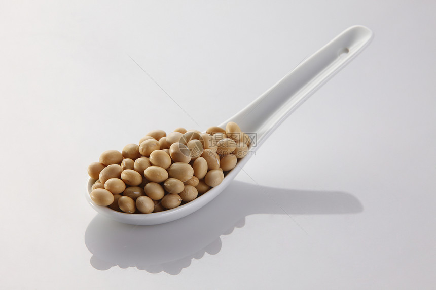 有豆子的勺子纤维宏观豆类营养豆腐大豆蔬菜豆浆种子白色图片