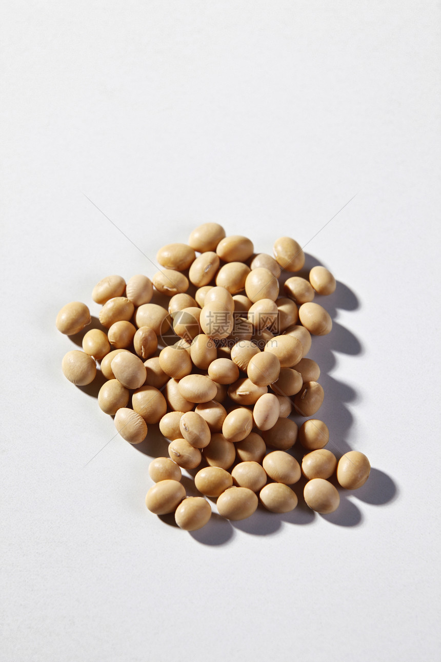 黄豆豆浆豆腐种子遗传学家宏观基因白色营养豆类黄色图片