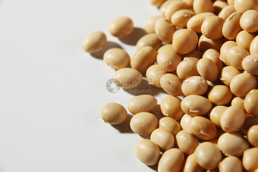 黄豆种子豆类遗传学家营养蔬菜豆浆宏观黄色纤维白色图片