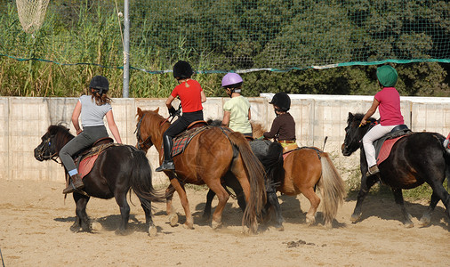 骑乐无穷儿童在骑子女时团体头盔小马家庭马球运动骑马学校孩子们背景