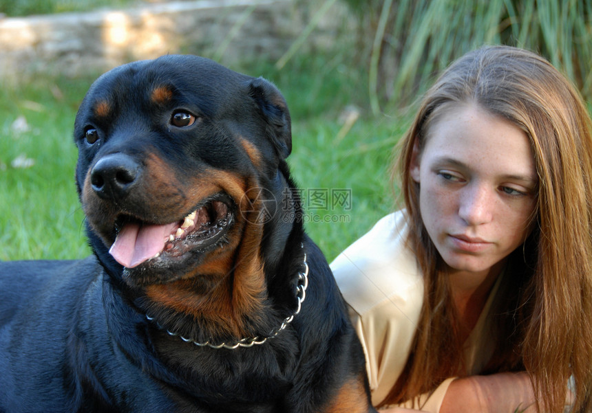 女童和危险狗女士悲伤宠物动物头发女孩警卫黑色朋友棕色图片