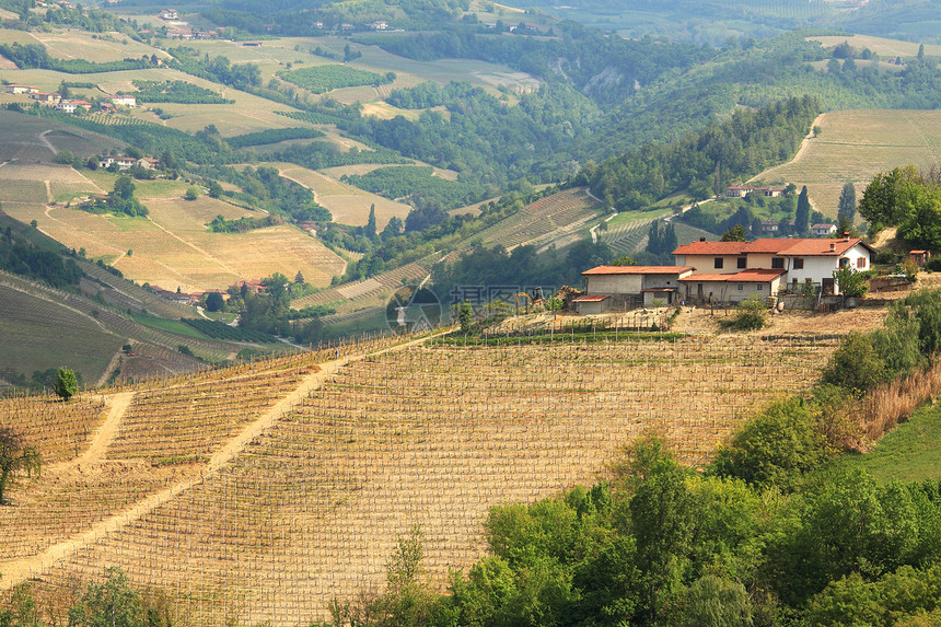 对意大利山丘上的农村独居房屋的空中观察图片