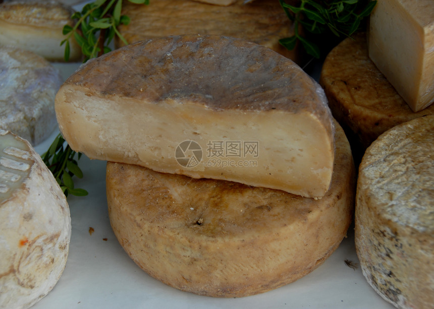 奶酪橱窗乳制品奶油食物母羊工艺市场磨石图片