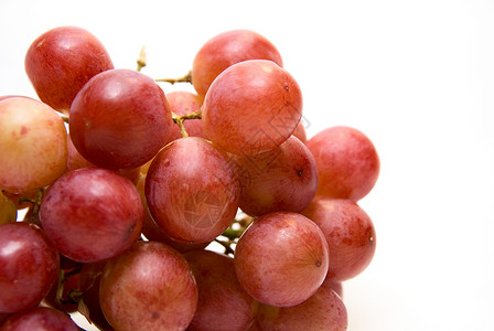 粉红葡萄集群的特写酒厂蔬菜藤蔓浆果植物生长收成食物果汁甜点背景图片
