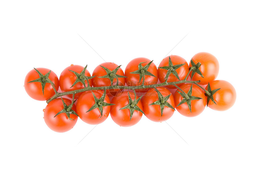 红番茄市场蔬菜园艺白色叶子沙拉生物学美食营养生产图片