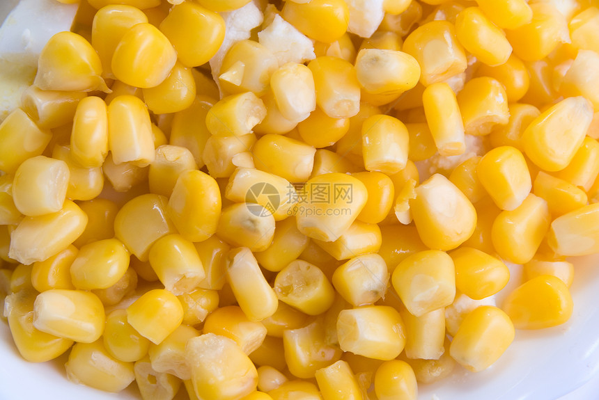 玉米种子生产宏观沙拉植物爆米花厨房粮食收成生物学技术图片