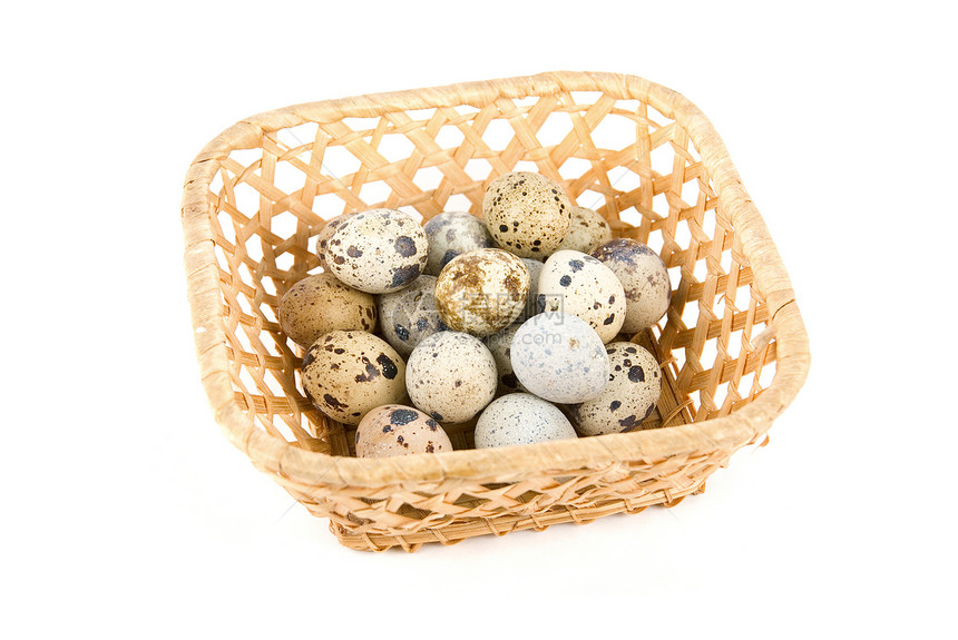 蛋美食篮子食物鹌鹑团体宏观农场卫生鸽子保健图片