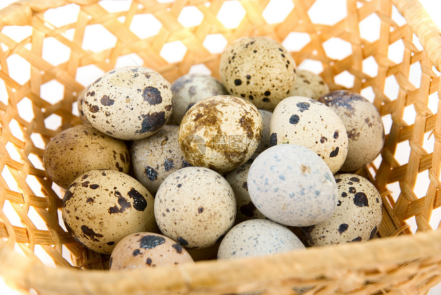 蛋团体生活产品蛋壳保健食物卫生农场篮子鹌鹑图片
