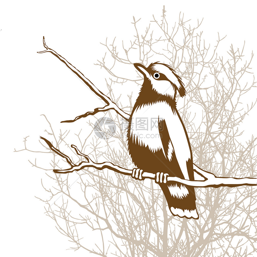 木本底的鸟轮背图卡通片森林夹子山雀创造力艺术八哥墙纸艺术品草图图片