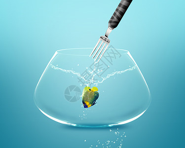 叉鱼在鱼卵中捕获天使鱼活动行动运动飞跃液体鱼缸游泳移民玻璃波纹背景图片