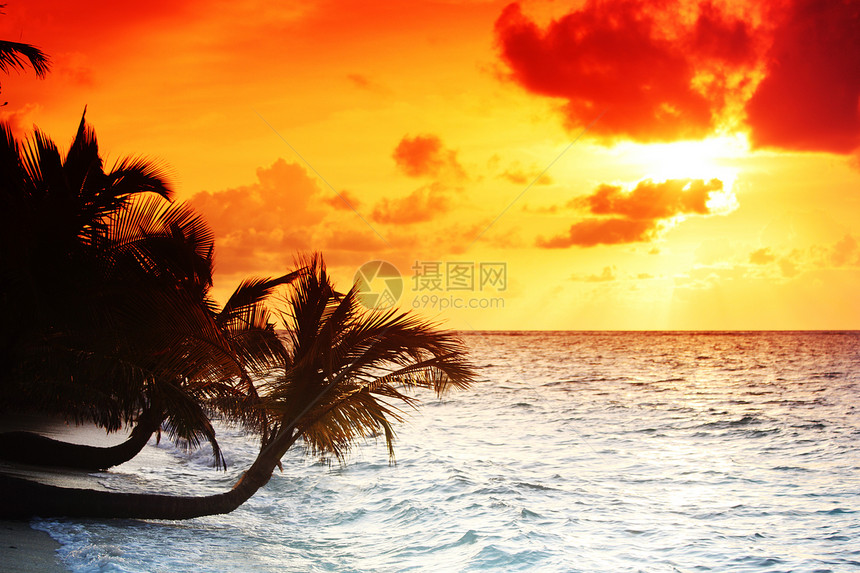 日落在海中反射天气蓝色季节太阳假期橙子地平线海浪阳光图片