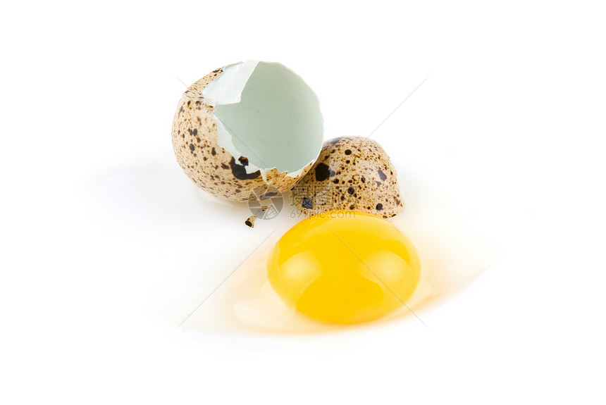 碎蛋液体早餐食物厨房鹌鹑烹饪饮食美味蛋壳橙子图片