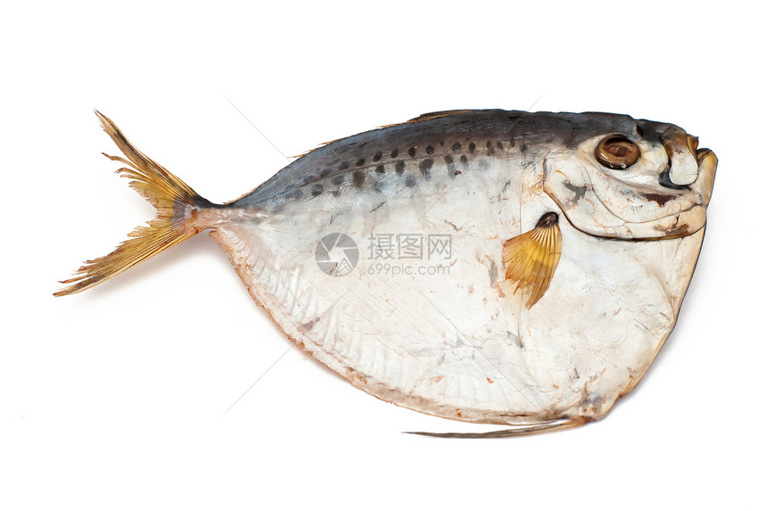 鱼美食文化动物熏制午餐食物海鲜小吃白色健康图片