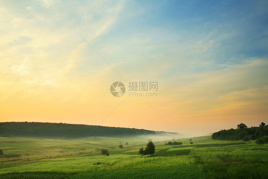 福吉字段植物生态乡村日出场地绿色场景蓝色天空牧歌图片