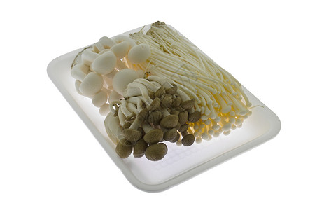 镶嵌图Shimeji蘑菇山毛榉工作室美味垂体食物镶嵌生产美食孢子团体背景