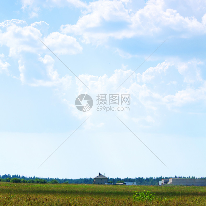 绿绿地天空蓝色远景草原太阳植物农业草地场景牧场图片